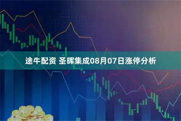 途牛配资 圣晖集成08月07日涨停分析