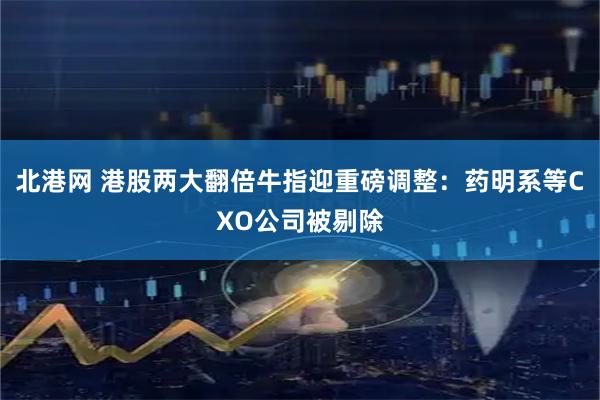 北港网 港股两大翻倍牛指迎重磅调整：药明系等CXO公司被剔除