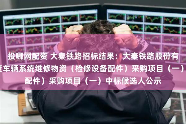 投哪网配资 大秦铁路招标结果：大秦铁路股份有限公司2026年度车辆系统维修物资（检修设备配件）采购项目（一）中标候选人公示