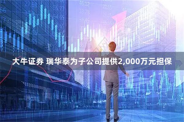 大牛证券 瑞华泰为子公司提供2,000万元担保