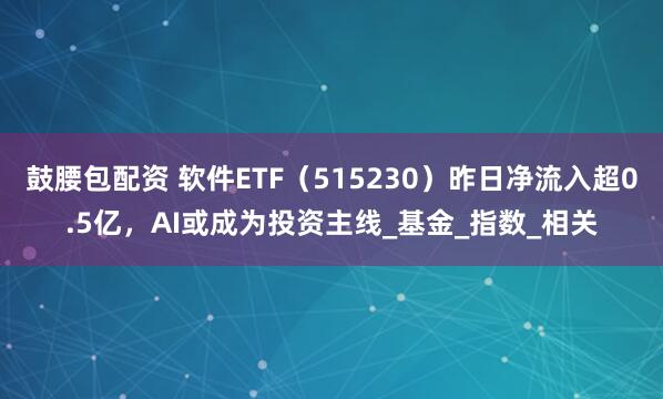 鼓腰包配资 软件ETF（515230）昨日净流入超0.5亿，AI或成为投资主线_基金_指数_相关
